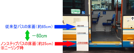従来型バスの床面（約85cm）　ノンステップバスの床面（約25cm）　-60cm