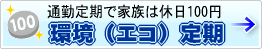 環境（エコ）定期