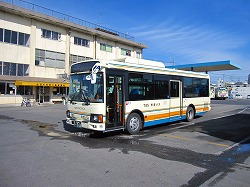 785-1.jpg