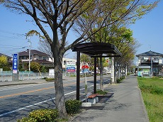 DSC05136.jpg